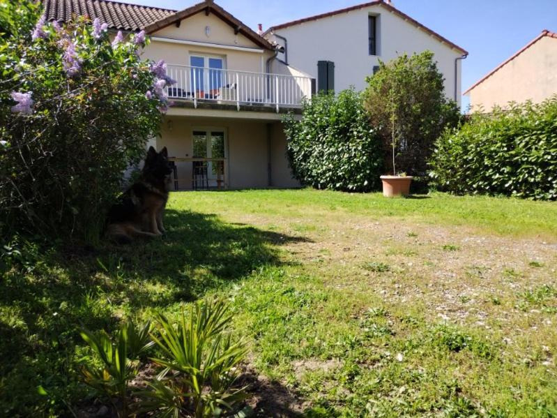 Le Pigeonnier Apartment Millau Bagian luar foto